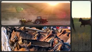 Trent Loos in the Morning - 1/13/2026