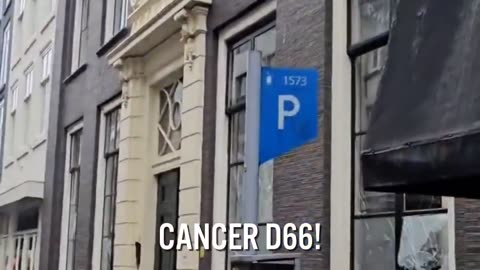 THE NETHERLANDS WILL BE WHITE