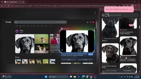 How to Install Flow Plug-in v1.5.2 for Adobe After Effects (Official Method)