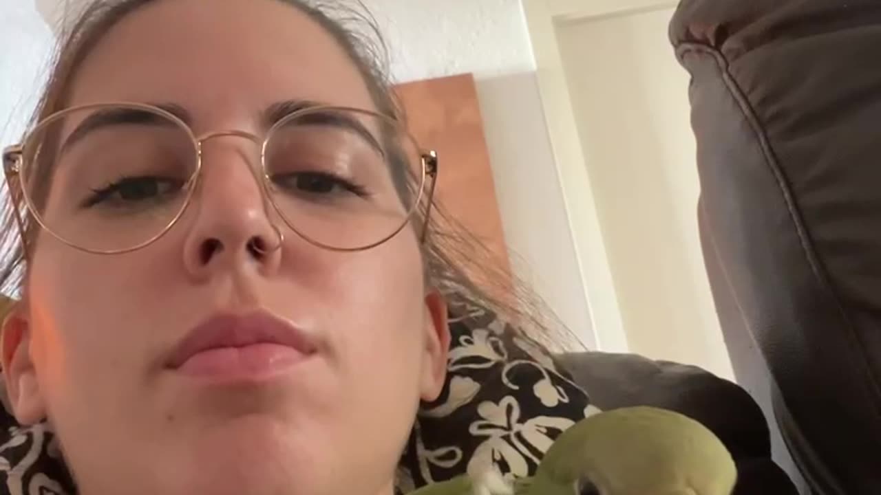 Parakeet Tries to Fly Away With Owner