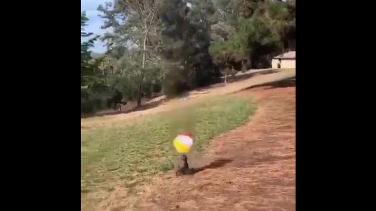 FREN NEWS17 - THE GRID IS GLOWING 😎 WeekendWarrior17