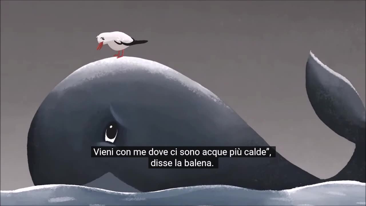Il Gabbiano e la Balena