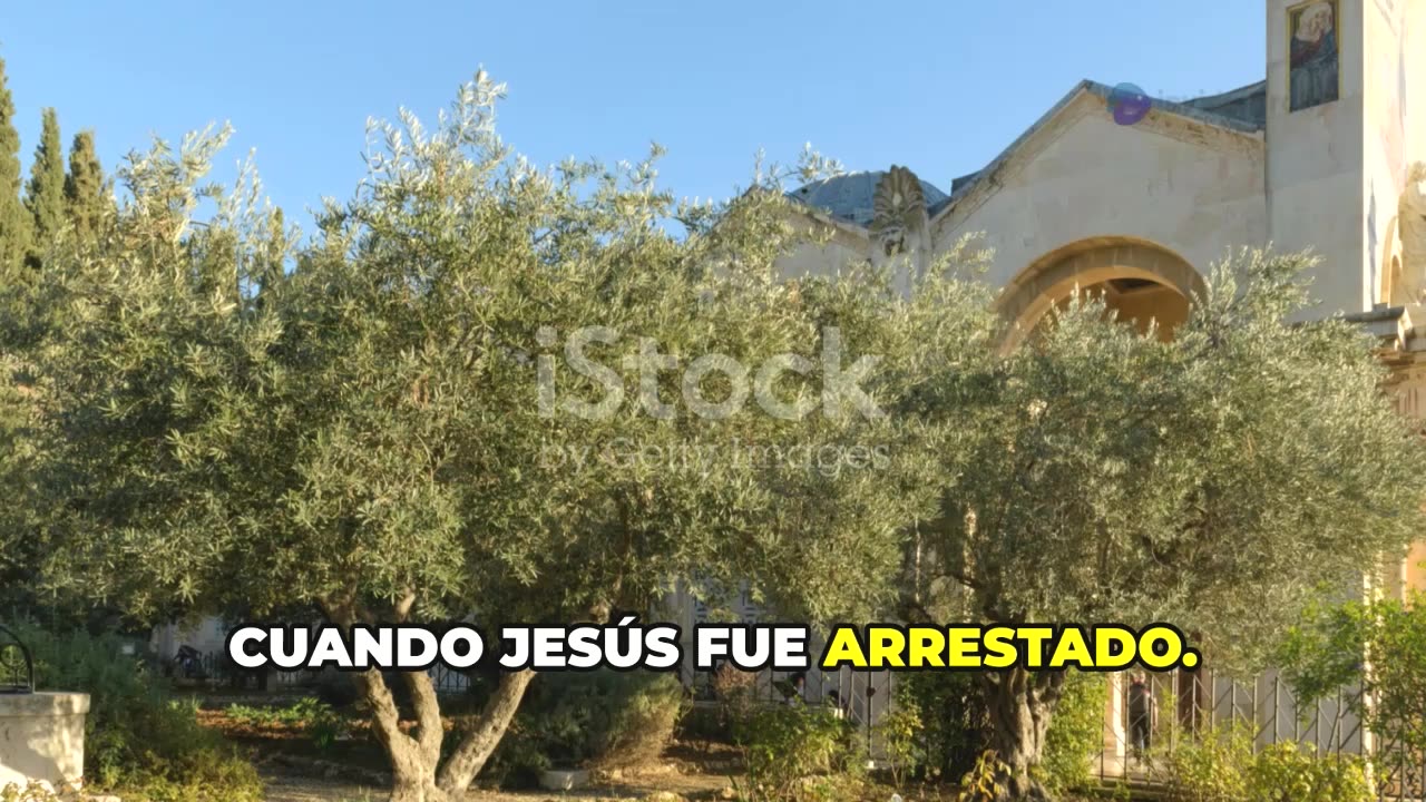 ¿ERES DISCÍPULO DE JESÚS? - PARTE 1
