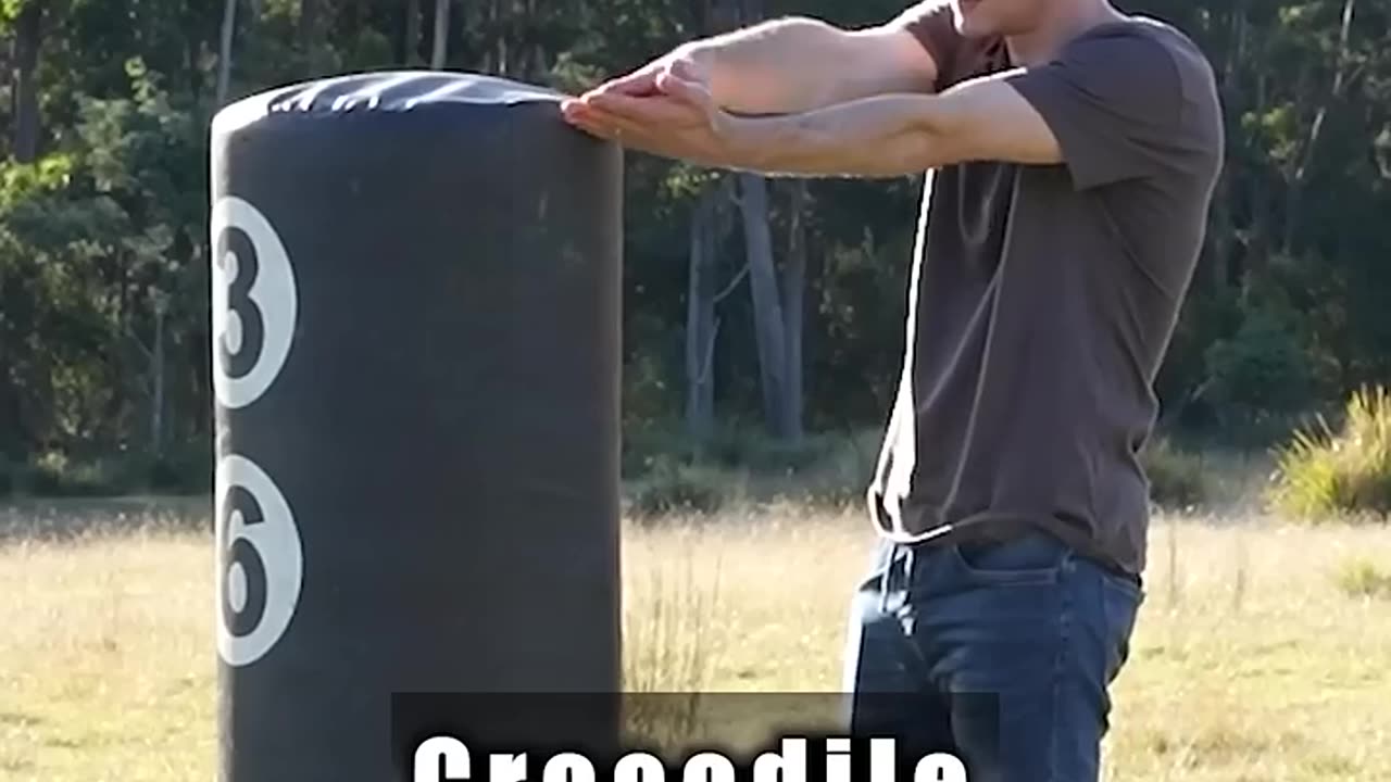 How Animals Fight. Part 1