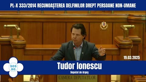 Proiectul de Lege inițiat de Remus Cernea de recunoaștere a delfinilor ca persoane non umane