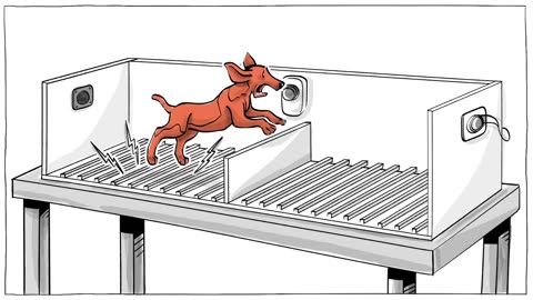 Learned Helplessness