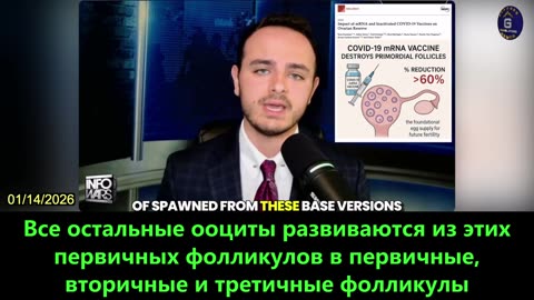 【RU】Вакцины на основе мРНК против КОВИД-19 могут снизить уровень беременности на 33% мРНК