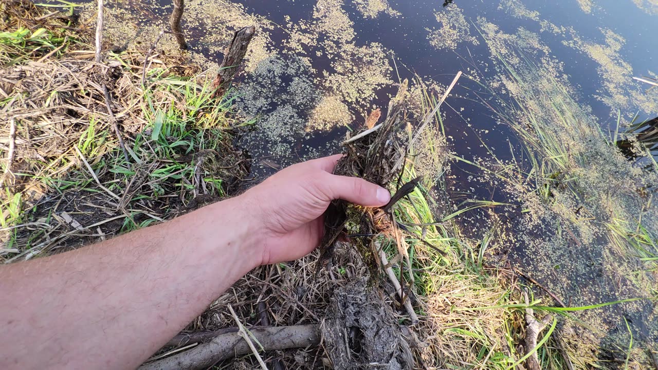 June 9, 2025 - Pond Levelers and Plugged culverts