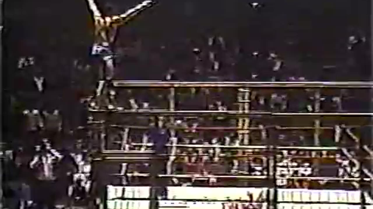 RANDY SAVAGE - THE MISSING MATCHES - 1989