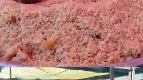 Batala महा छुटकारा सभा Joyful Feast #batala ‪@AnugrahTV‬