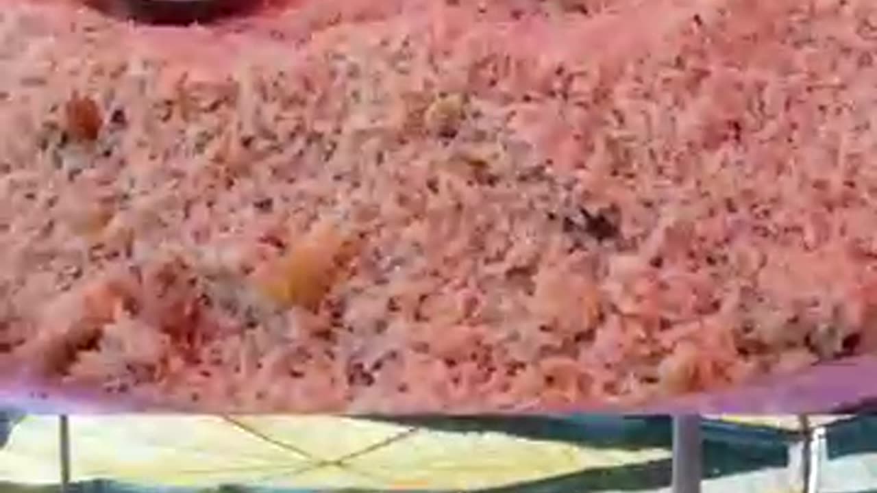 Batala महा छुटकारा सभा Joyful Feast #batala ‪@AnugrahTV‬