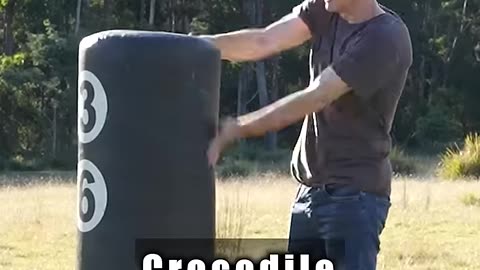 How Animal flights