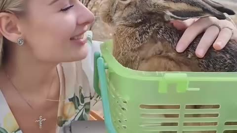 Woman rescued a baby rabbit from a cat