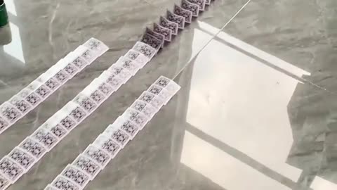 Domino Effect | Spiral #domino #dominogirl #dominoeffect