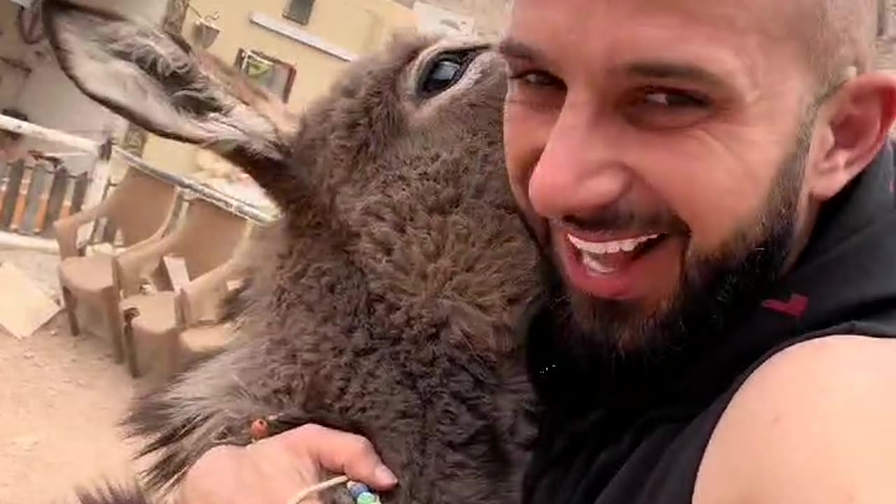استقبال سنبل ئلي كل يوم