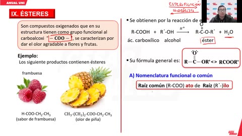 ANUAL VALLEJO 2024 | Semana 38 | Filosofía | Química