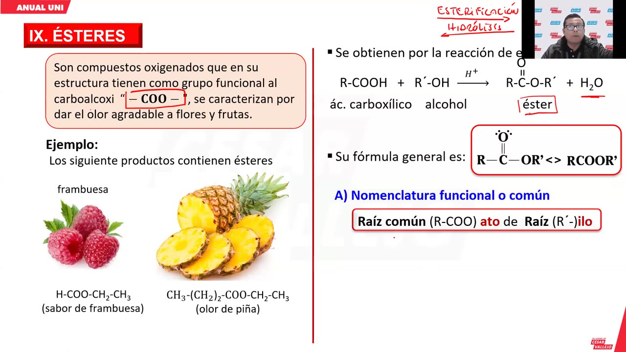ANUAL VALLEJO 2024 | Semana 38 | Filosofía | Química