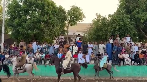 🤯✨ Incredible Horse Racing Festival in Egypt! | FeedMyCuriosity