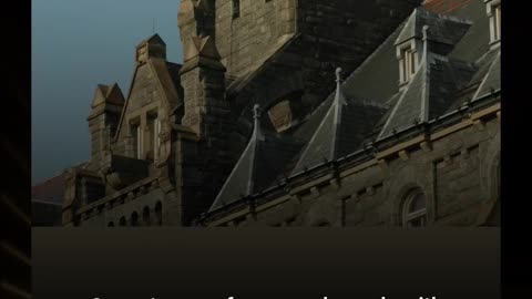 Georgetown professor says he works with 'stupid white people' as undercover video shows