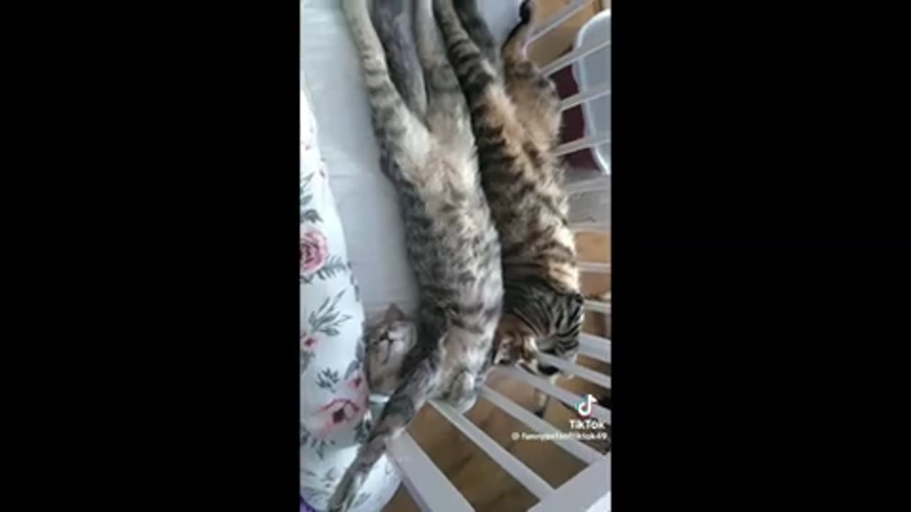 Need a laugh here and there ;)