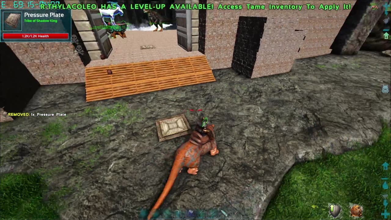 Ark game play