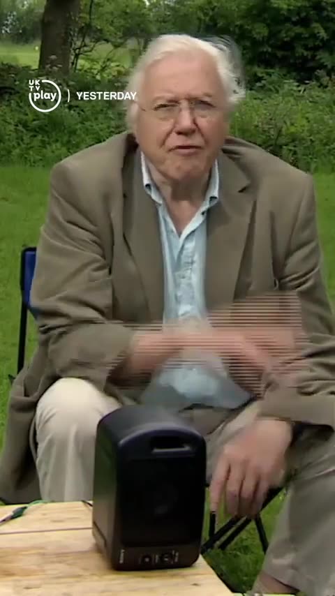 Plants and bees communicate with each other by creating small electric fields