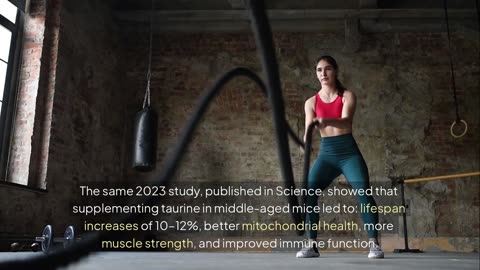 Taurine: What It Really Does (and Why It’s Not Bull)