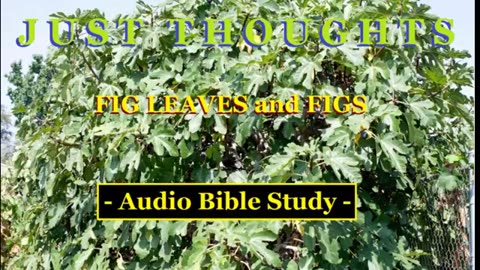 Just Thoughts - Fig Leaves and Figs (2015) Retro