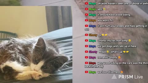 08/11/25 Q45 VOD: "shesh walk"