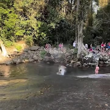 Compilation 🔥 Top Videos You Have to See to Believe 💯