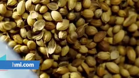 Health Benefits of Coriander Seeds