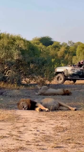 On their way to a food coma 🤣