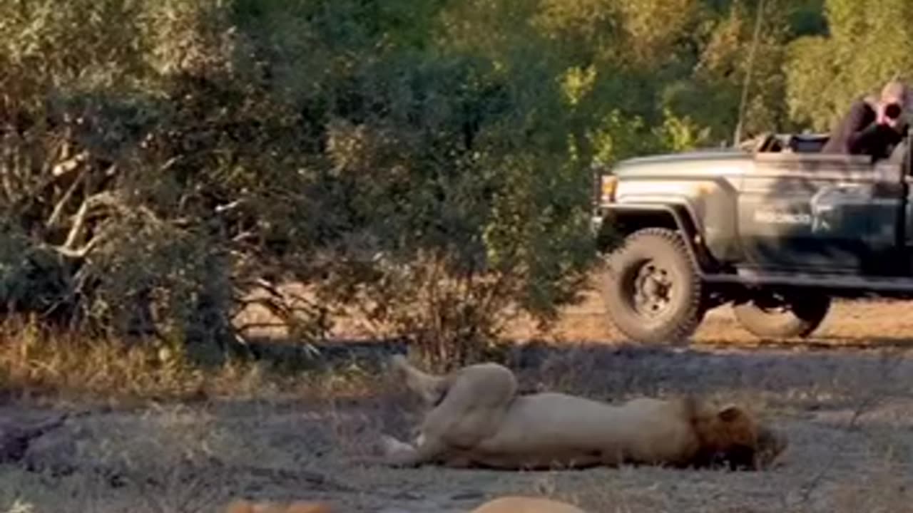 On their way to a food coma 🤣