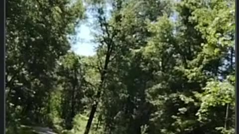 Ebike Ride through the Paul Bunyun Trail