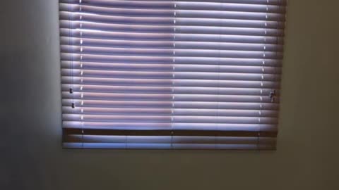 Arizona Heat DESTROYS Vinyl Blinds_ A Must-Know Homeowner Tip!