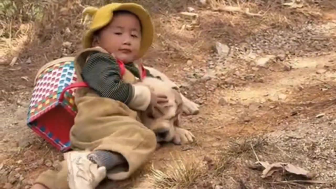 Faced with the bullying of the little master, the lovely puppy fought back helplessly