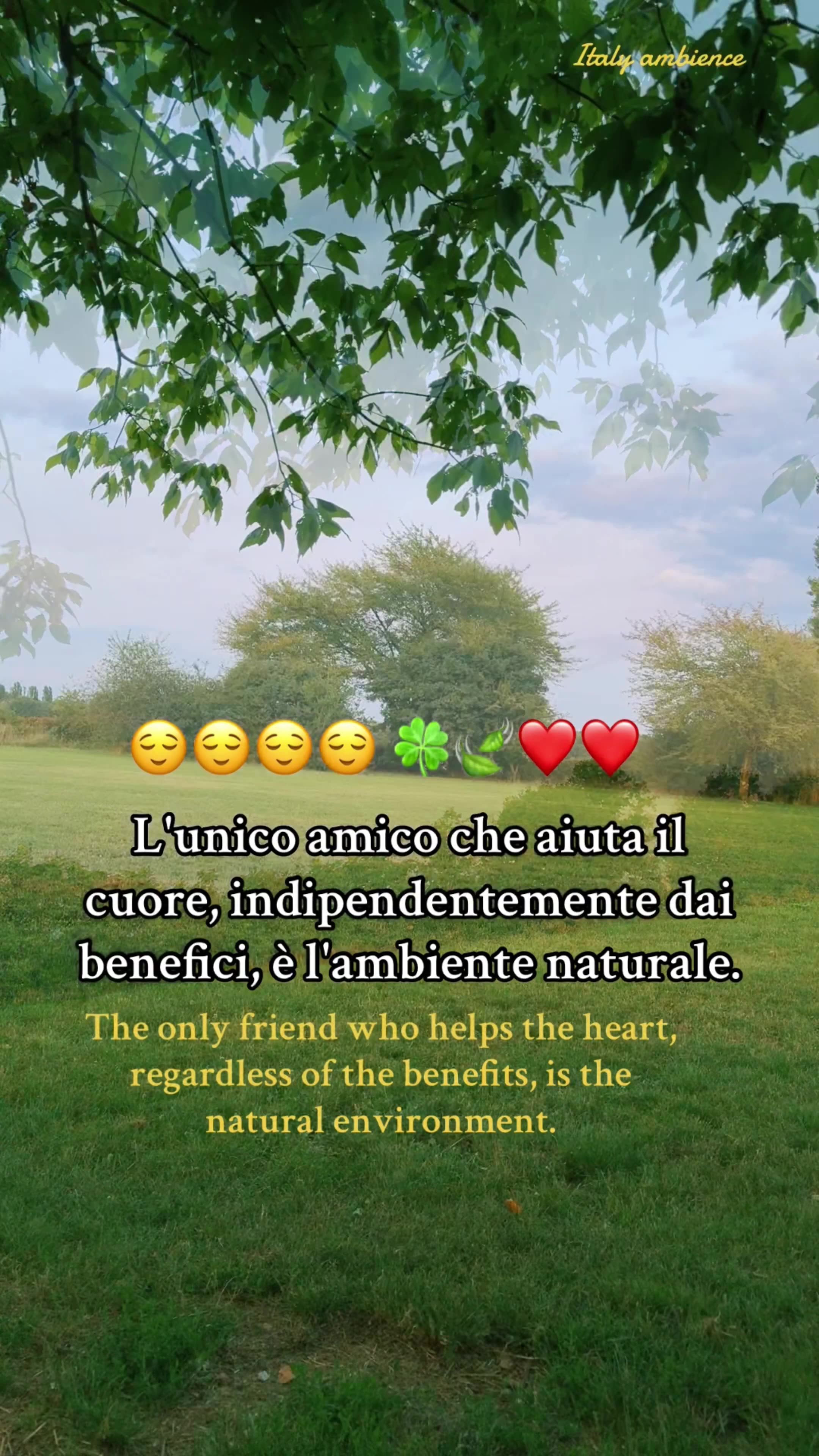 The only friend who helps the heart, regardless of the benefits, is the natural environment.