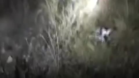 Escombros del avión que se estrelló con el jefe del Estado Mayor libio a bordo en Turquía