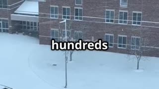 ❄️ Massachusetts Snow Totals Today | Major Winter Storm Report 🌨️