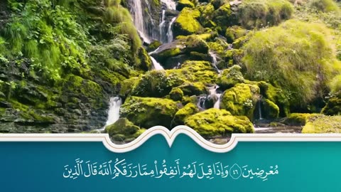 سور الرزق والبركة سورة يس - الرحمن - الواقعة - الملك بصوت الشيخ سعد الغامدي