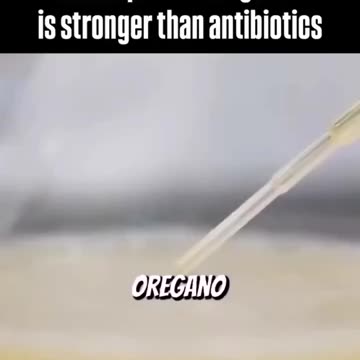 A high-school student proves Oregano essential oil kills...