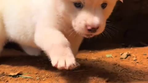 ?