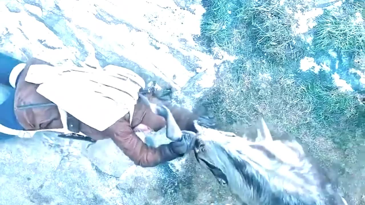 Rock goats that can run on cliffs