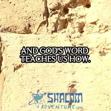 God's Word: Your Guide to Lasting Shalom #Shorts #RabbiJeffZaremsky