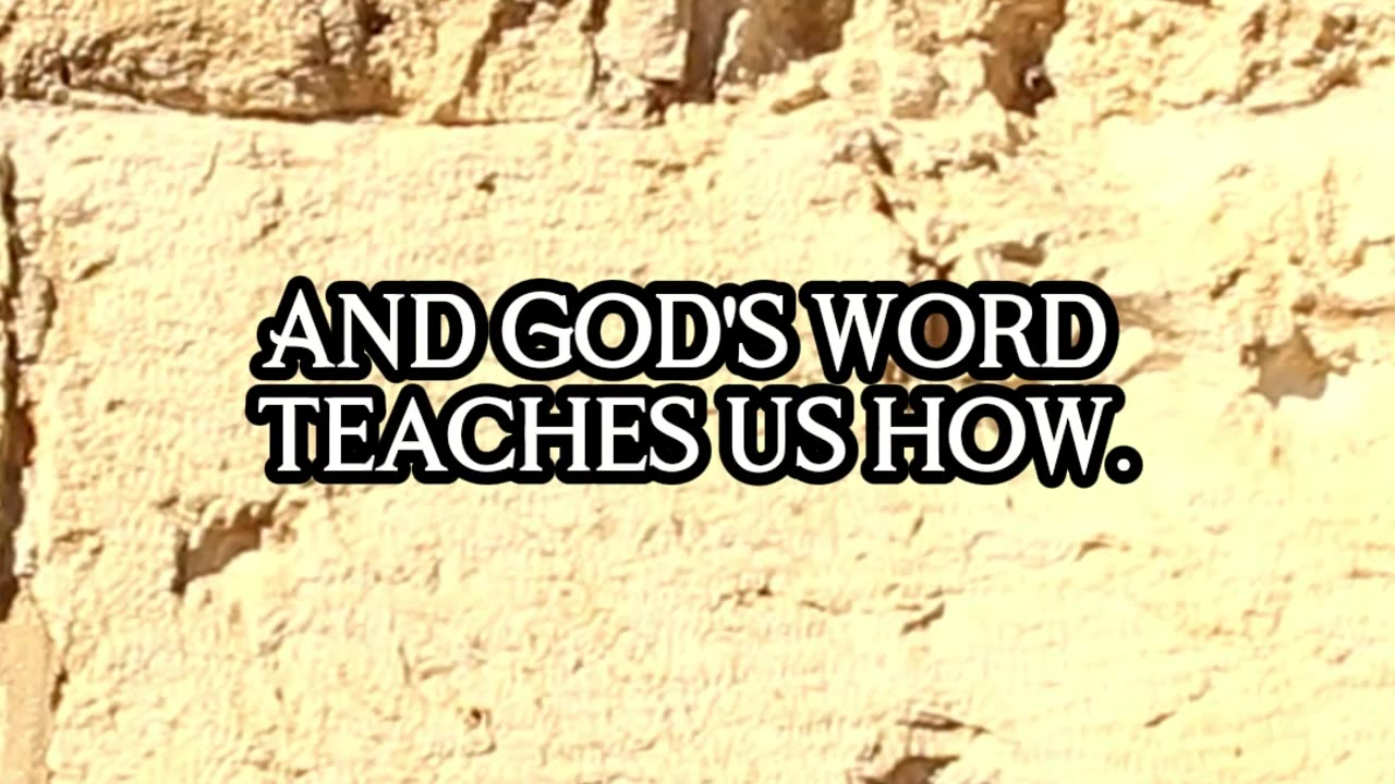 God's Word: Your Guide to Lasting Shalom #Shorts #RabbiJeffZaremsky