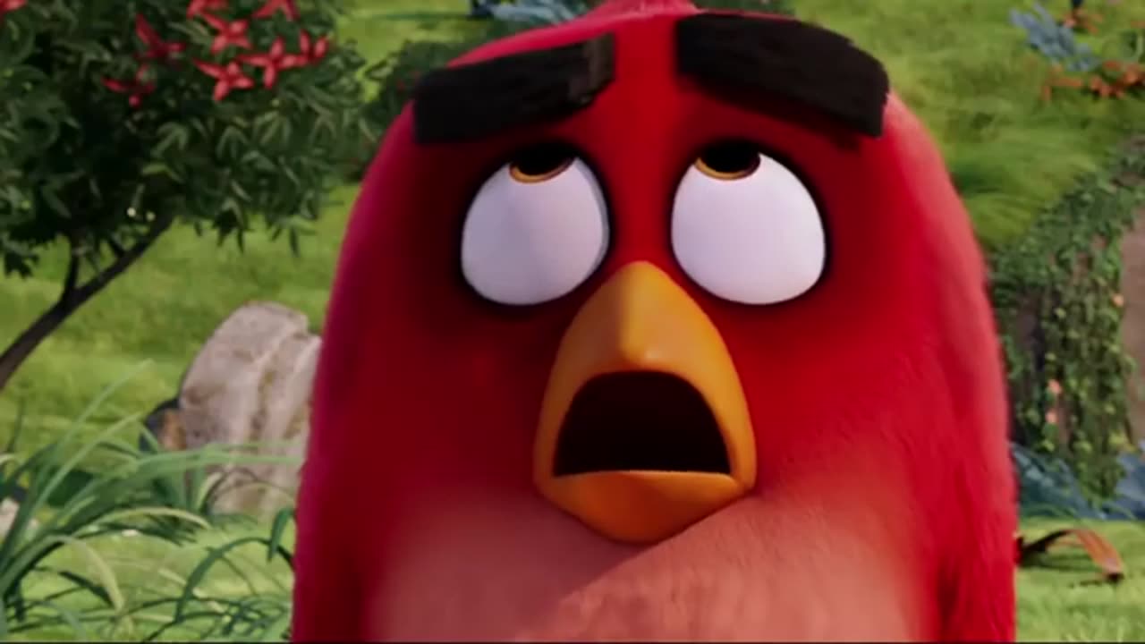 angry birds