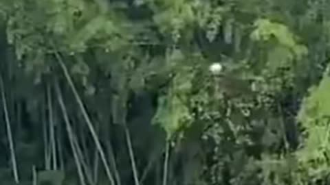 🚀👽 UFO / UAP Sighting Near San Vicente del Caguán, Colombia on May 25, 2025! | TheTruthAbove