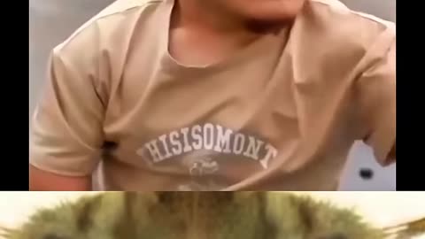 Pawzzled - Perfume sensation 🗿 #cat #funny #meme #dance#rumbleshorts#trending