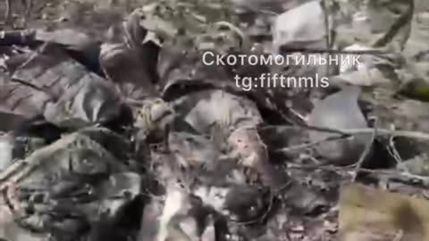 War in ukraine
