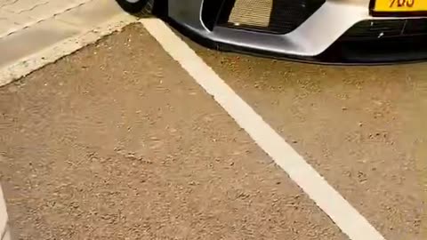 🤩💨 Choose Your Favorite Luxury Ride! | LuxurySportsCars